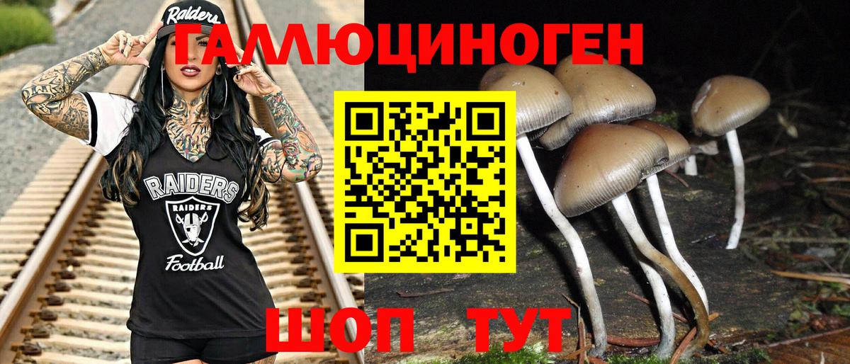 Камышлов  Галлюциногенные грибы Magic Shrooms  наркотики  Вход с VPN  Псилоцибиновые грибы GOLDEN TEACHER 