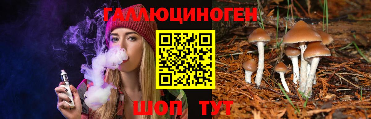 Псилоцибиновые грибы Magic Shrooms Камышлов